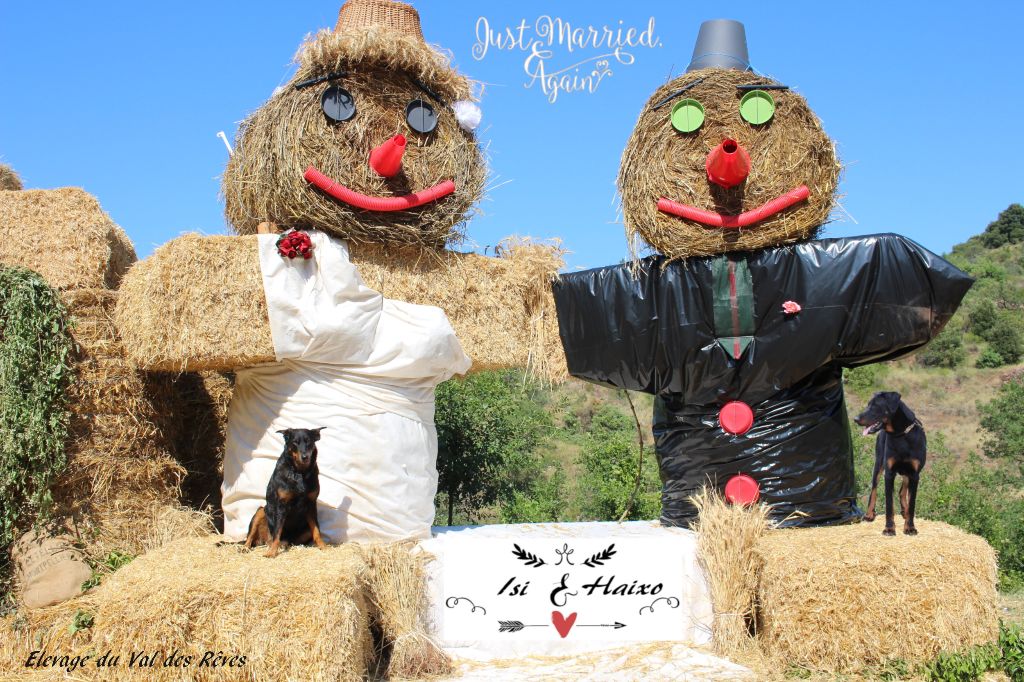 Du Val Des Rêves - (Re) Mariage Isi & Haixo et confirmation de gestation !