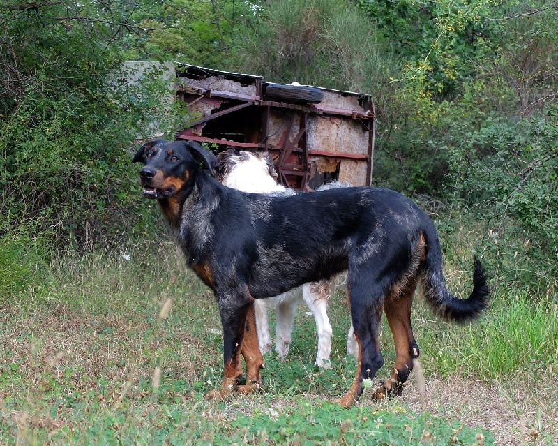 Photos Isi 1ère année (2013)
